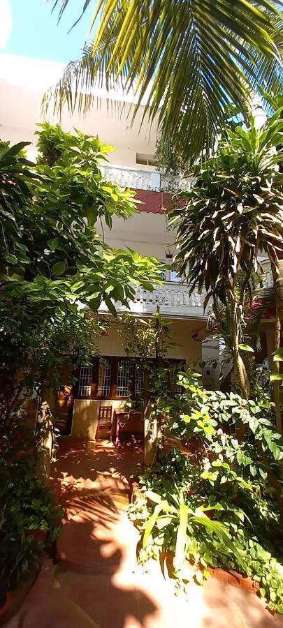 Daphne Hotel Махабалипурам Екстериор снимка